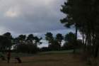 gp2020dimanche984_small.jpg