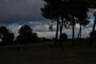 gp2020dimanche986_small.jpg