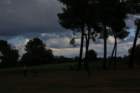 gp2020dimanche988_small.jpg