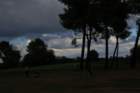 gp2020dimanche990_small.jpg