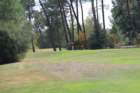 gp2020samedi519_small.jpg