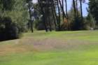 gp2020samedi574_small.jpg