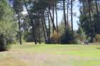 gp2020samedi582_small.jpg