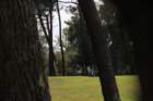 img_3680_small.jpg