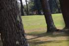 img_3681_small.jpg