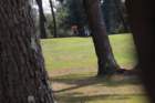 img_3684_small.jpg