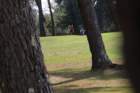img_3686_small.jpg