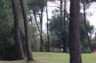 img_3735_small.jpg