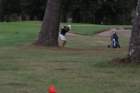 img_3742_small.jpg
