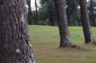 img_3750_small.jpg