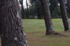 img_3767_small.jpg