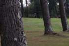 img_3771_small.jpg