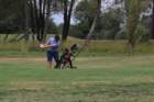 img_3832_small.jpg