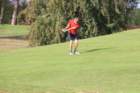 img_4000_small.jpg