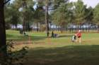 img_2573_small.jpg