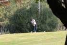 img_2931_small.jpg