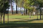 img_2939_small.jpg