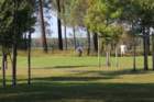 img_2941_small.jpg