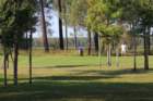 img_2942_small.jpg