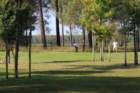 img_2943_small.jpg