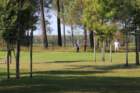 img_2945_small.jpg