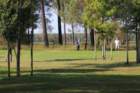 img_2946_small.jpg