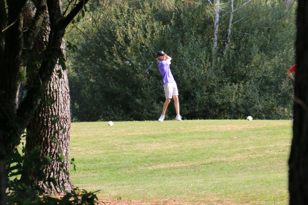 img_2962.jpg