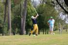 img_3100_small.jpg