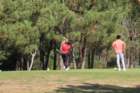img_3271_small.jpg