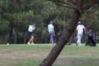 img_3449_small.jpg