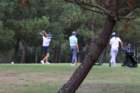 img_3450_small.jpg
