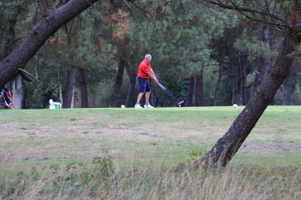 img_3529.jpg