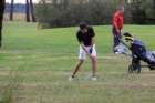 img_3538_small.jpg