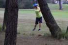 img_3551_small.jpg